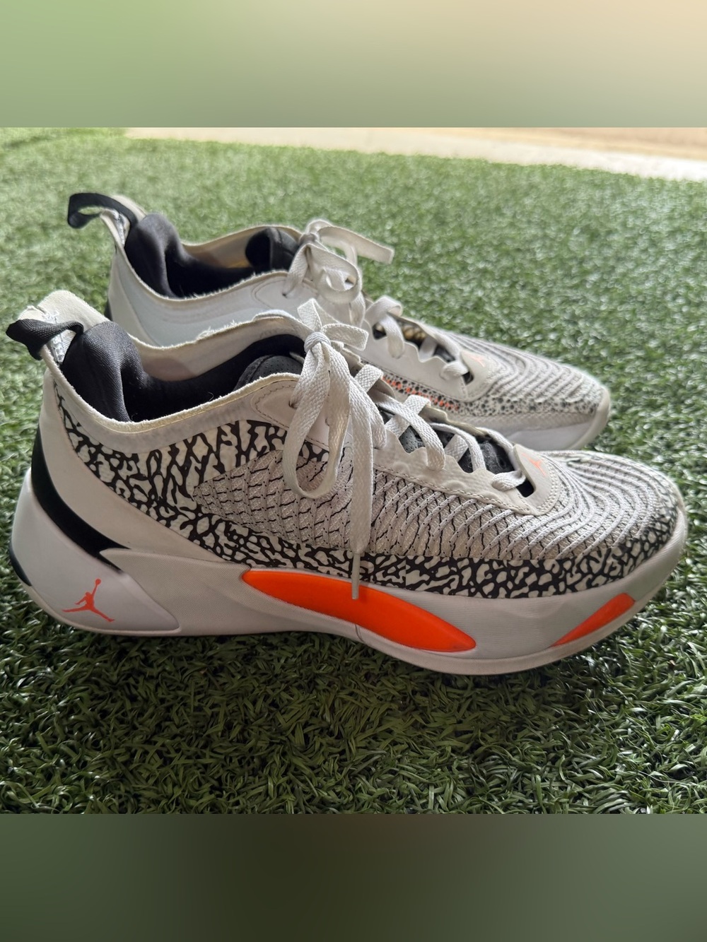 Nike Jordan Luka 1 “Safari” Men’s
